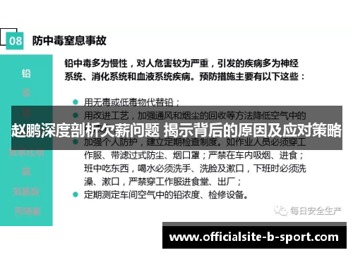 赵鹏深度剖析欠薪问题 揭示背后的原因及应对策略