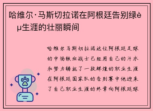 哈维尔·马斯切拉诺在阿根廷告别绿茵生涯的壮丽瞬间